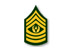 Army Command Sergeant Major (CSM)