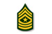 Army Sergeant Major (SGM)