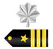 Navy Commander (CDR)