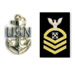 Navy Chief Petty Officer (CPO)
