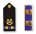 Navy Chief Warrant Officer 2 (CWO2)