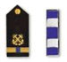 Navy Chief Warrant Officer 4 (CWO4)