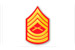 USMC Master Sergeant (MSGT)